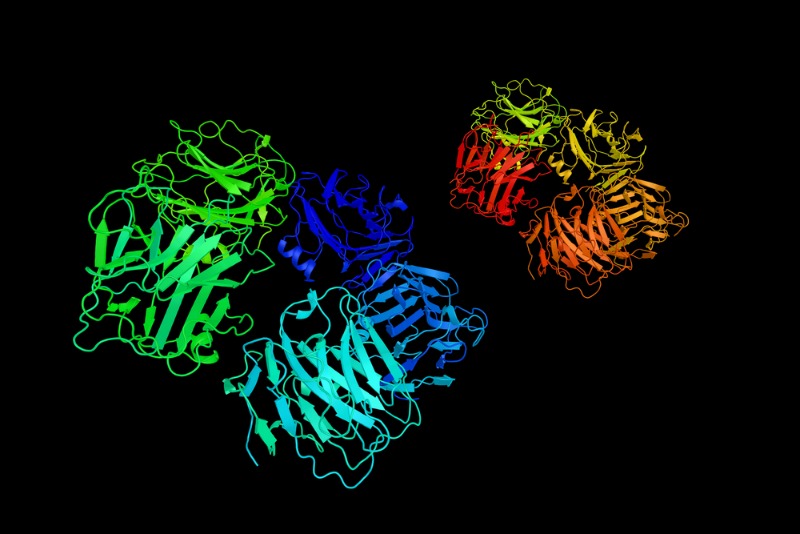 proteina C reactiva
